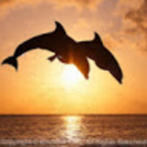 Meet your Posher, Alma